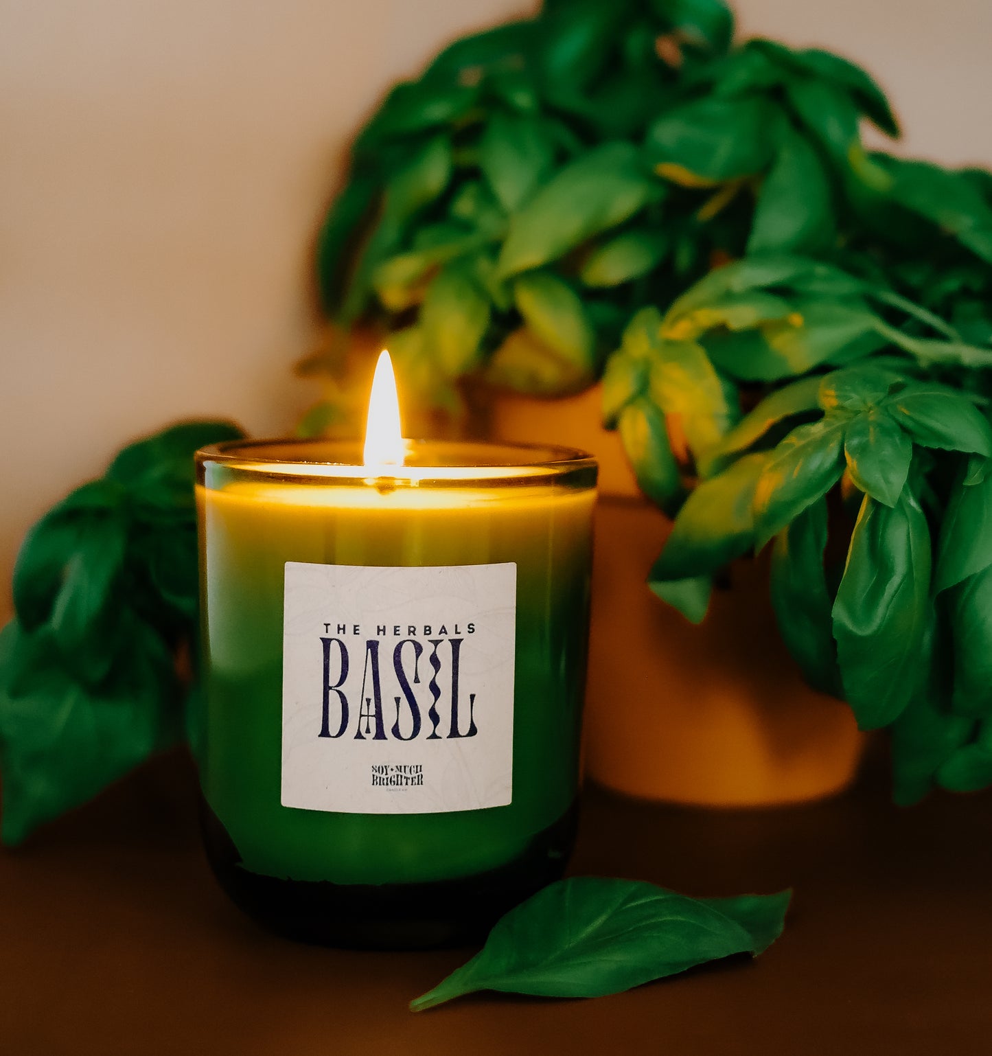 Basil // The Herbals Collection // Large