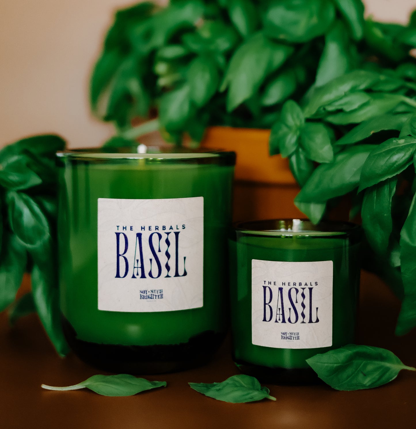 The Basil Duo // Large & Mini // The Herbals Collection