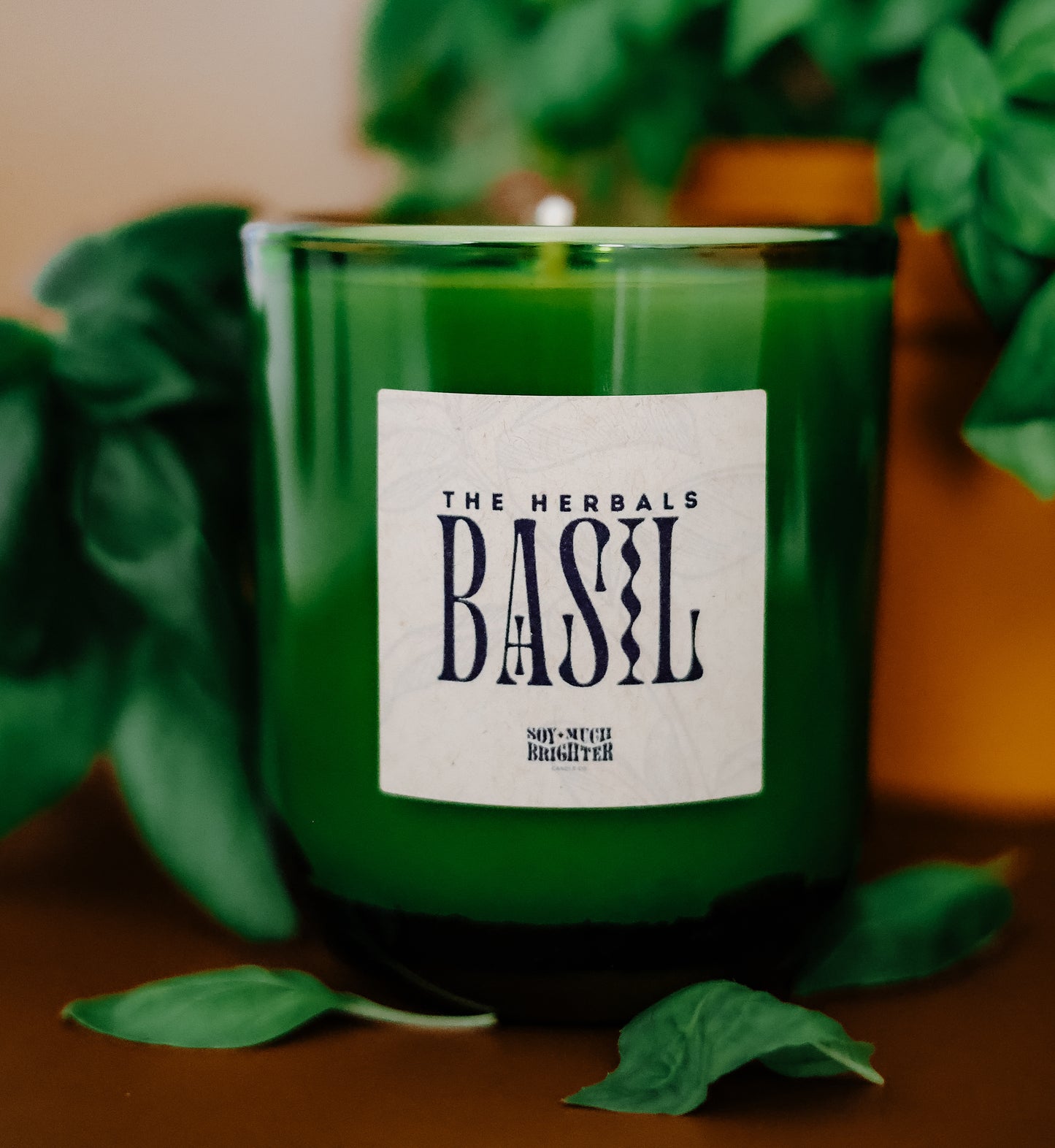 Basil // The Herbals Collection // Large
