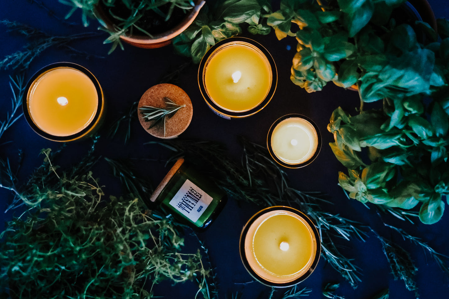 The Herbals Collection // The Whole Dang Set // Basil, Thyme, Rosemary // Mini